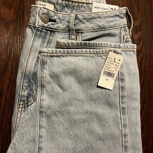 NWT $40 Pacsun Mom Jeans Size 29 Elvira Light Wash Distressed High Rise Jean